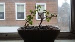20160426_115839.jpg