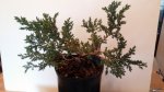 20160426_120816.jpg