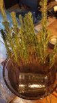 20160503_191658.jpg