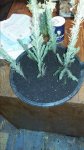 20160503_202302.jpg