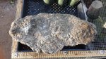 20160505_072737.jpg 20160505_072737.jpg