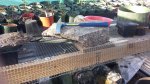 20160505_072748.jpg