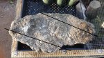 20160505_072737.jpg