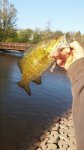 20160505_073750.jpg