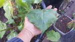 20160506_070111.jpg