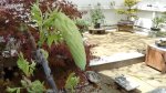 DSC01161.JPG
