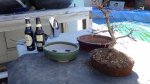 DSC00946.JPG