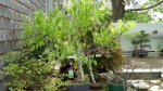 DSC01162.JPG