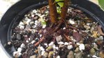 20160517_122934.jpg