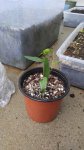 20160517_122901.jpg