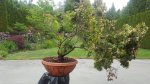 20160515_144142_001.jpg