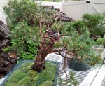 Scot_SpringRP_May2016.jpg Scot_SpringRP_May2016.jpg