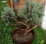 20160529_164256.jpg