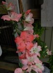 WakaEbisu-June24-2014flowers-small.jpg