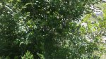 20160609_124058.jpg