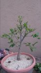20160613_202301.jpg