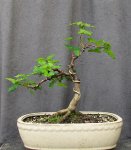 acerm05_160619a.jpg