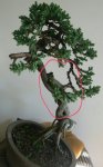 2016-06-21 00.45.09.jpg