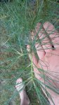 20160710_181221.jpg