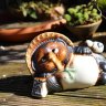 CraftyTanuki
