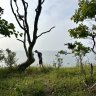 TerminalMoraine