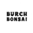 BurchBonsai