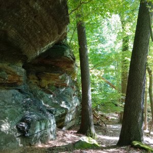 IMG_20250910_165548.jpg