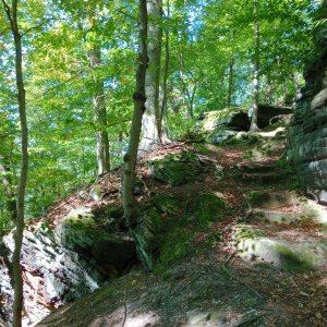 IMG_20250910_160304.jpg