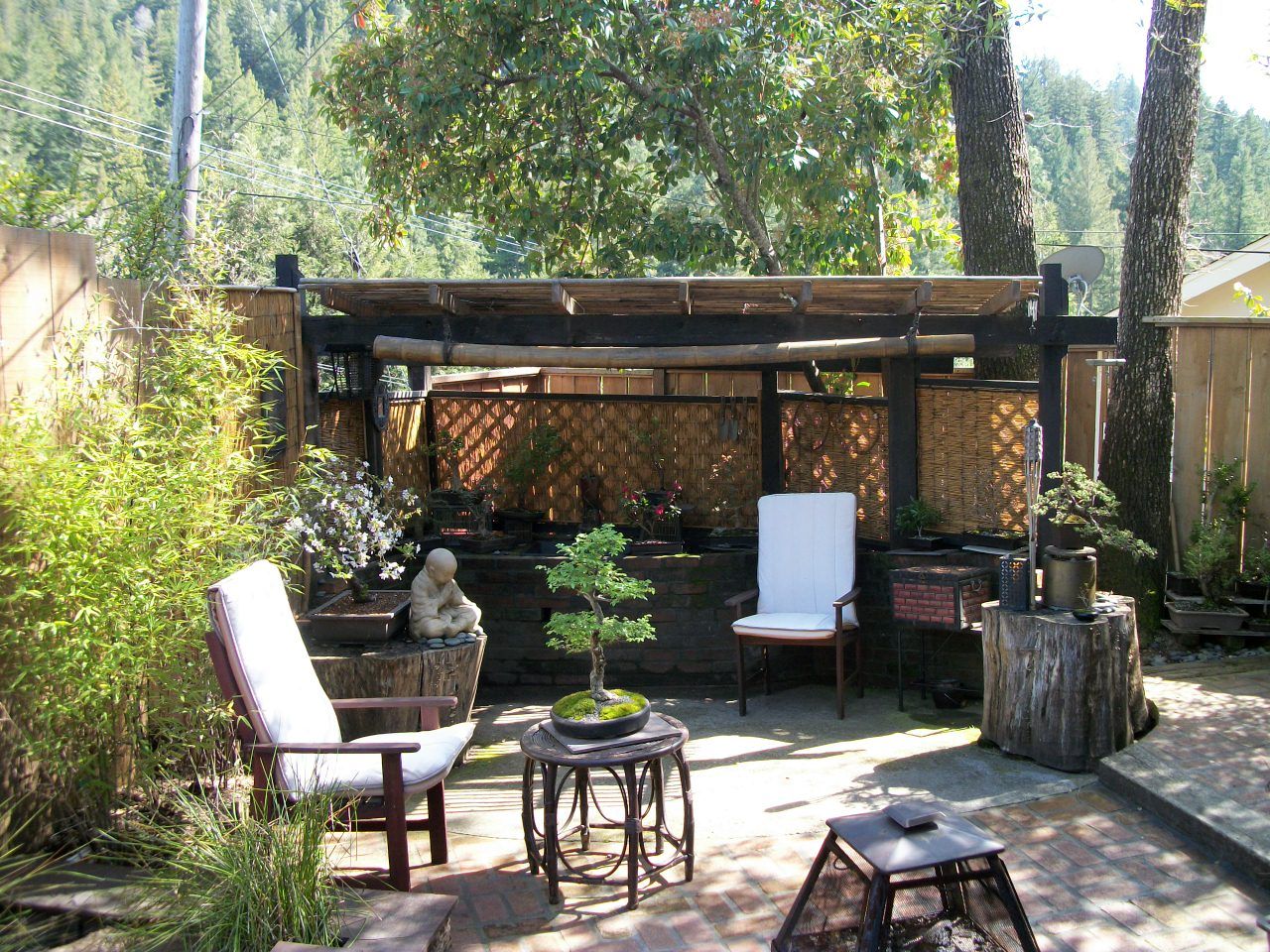 Bonsai work area