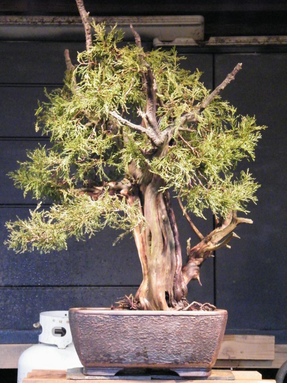 DSCF1361
