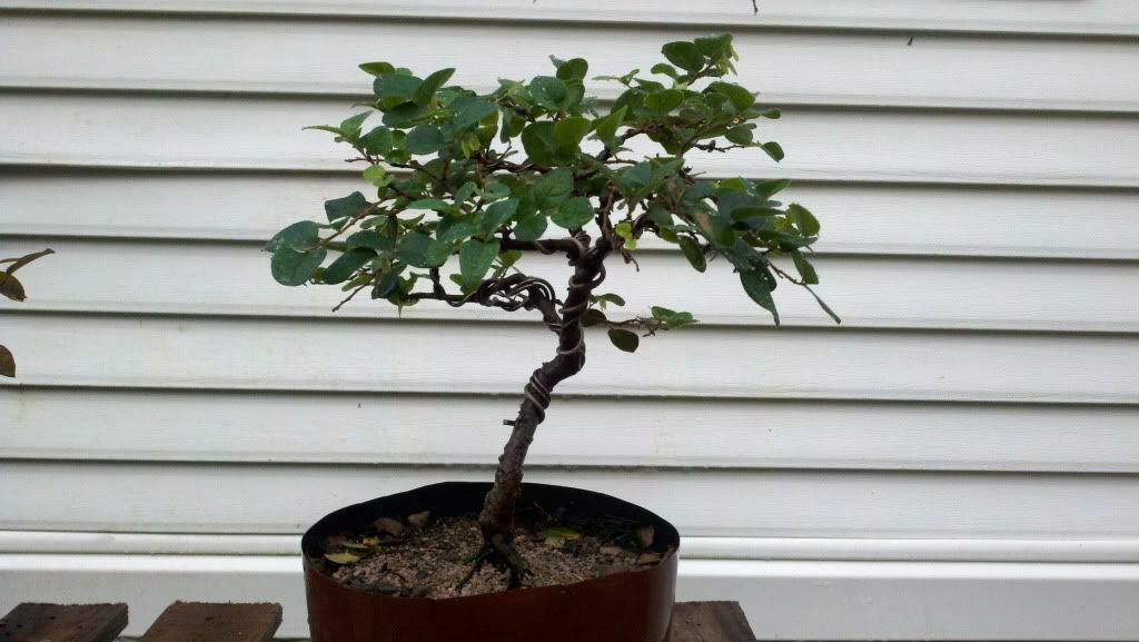 2011-10-12_07-09-23_80.jpg