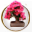 www.e-bonsai.com