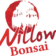 www.willowbonsaishop.com