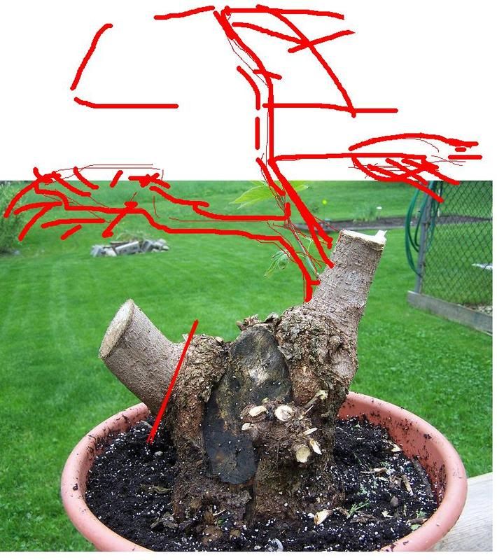 idea.jpg