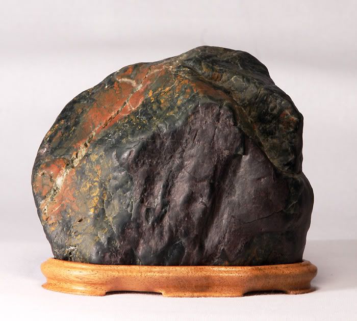 Jasper_a_7051_md.jpg