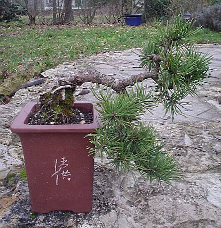 20120217210011-544af907.jpg
