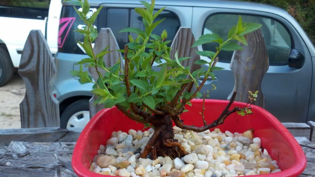 2011-10-06_07-41-48_958.jpg