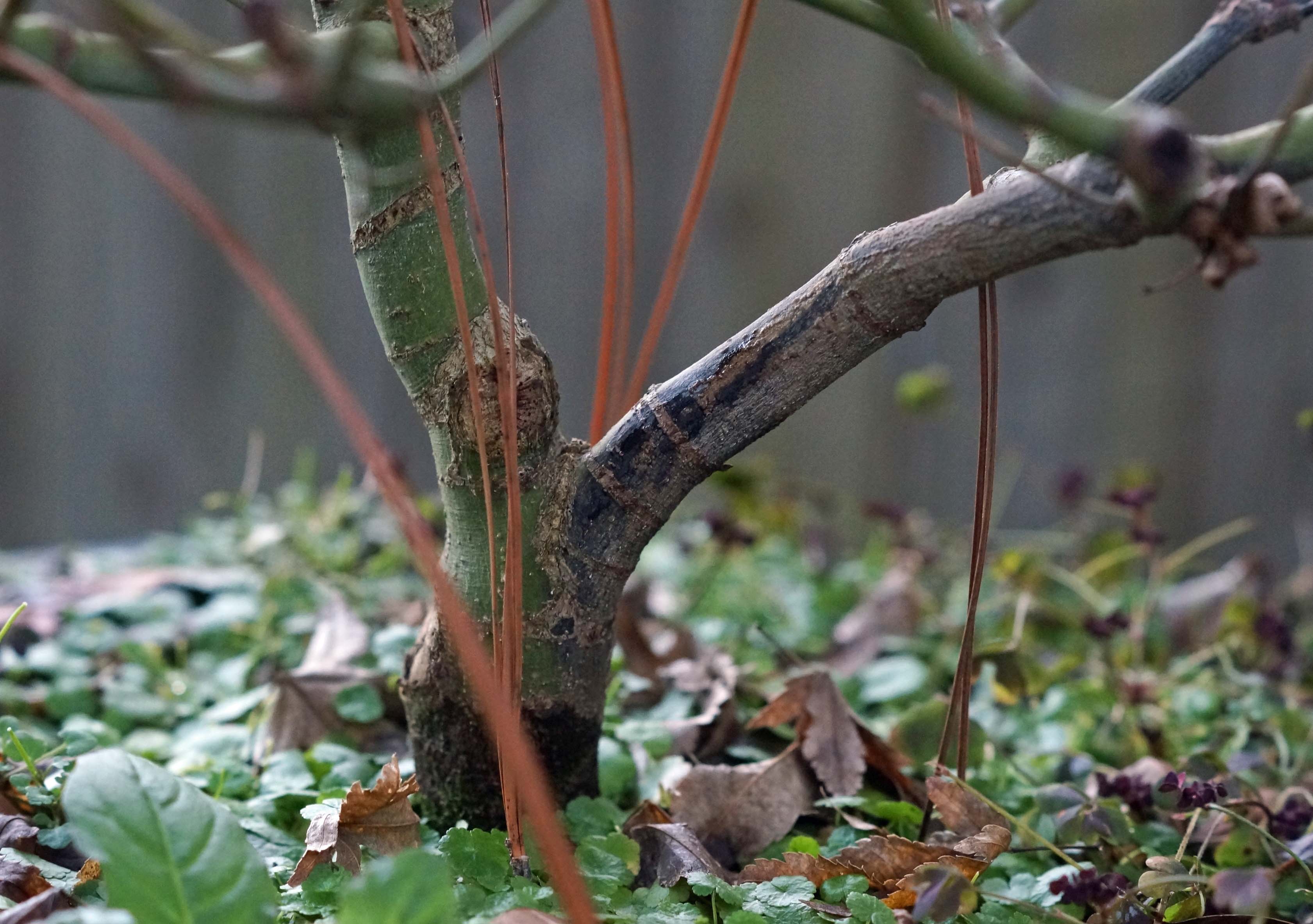 dsc06115-1.jpg