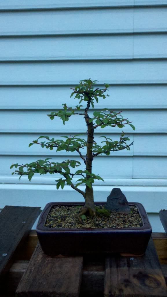 2011-08-30_07-50-38_956.jpg
