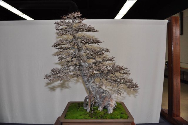 ORoG7l.jpg