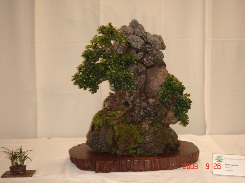 9-26-09conv57.jpg