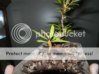 022-1.jpg