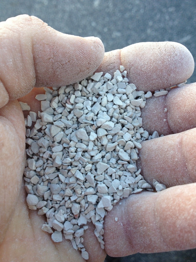 100 Diatomite For Soil Bonsai Nut