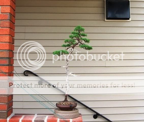 pictures2047.jpg