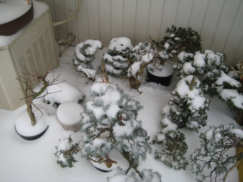 snow-9.jpg