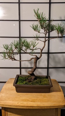 www.ebay.com