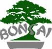 www.e-bonsai.com