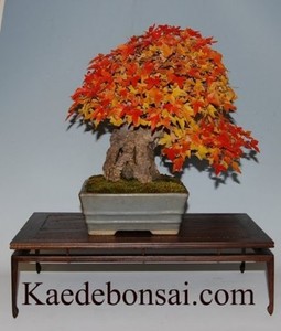 www.ebay.com