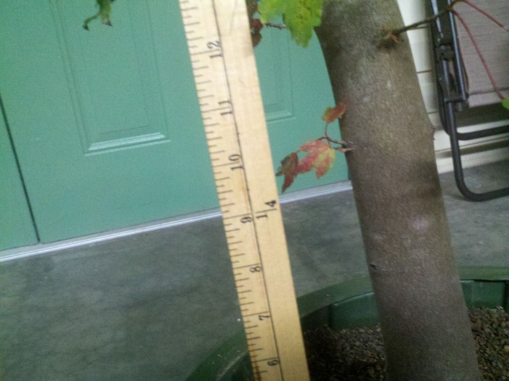 2012-10-04_19-54-09_48.jpg