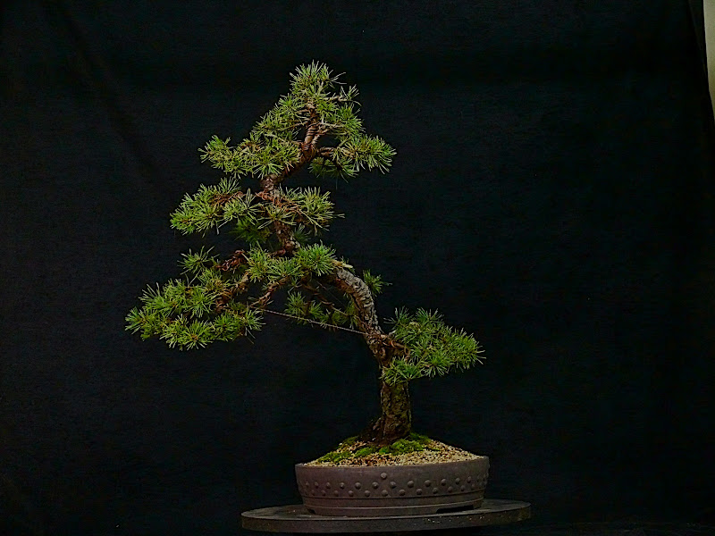 P1030335.JPG